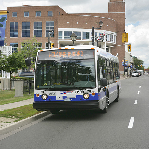 Brampton Transit