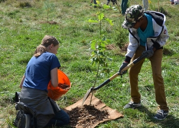 One Million Trees Program