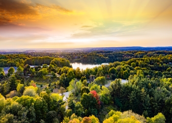 Urban Forest Management Plan