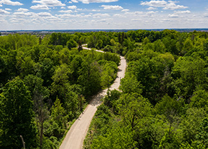 Bramalea Woods