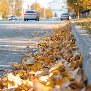 Leaf Vacuum