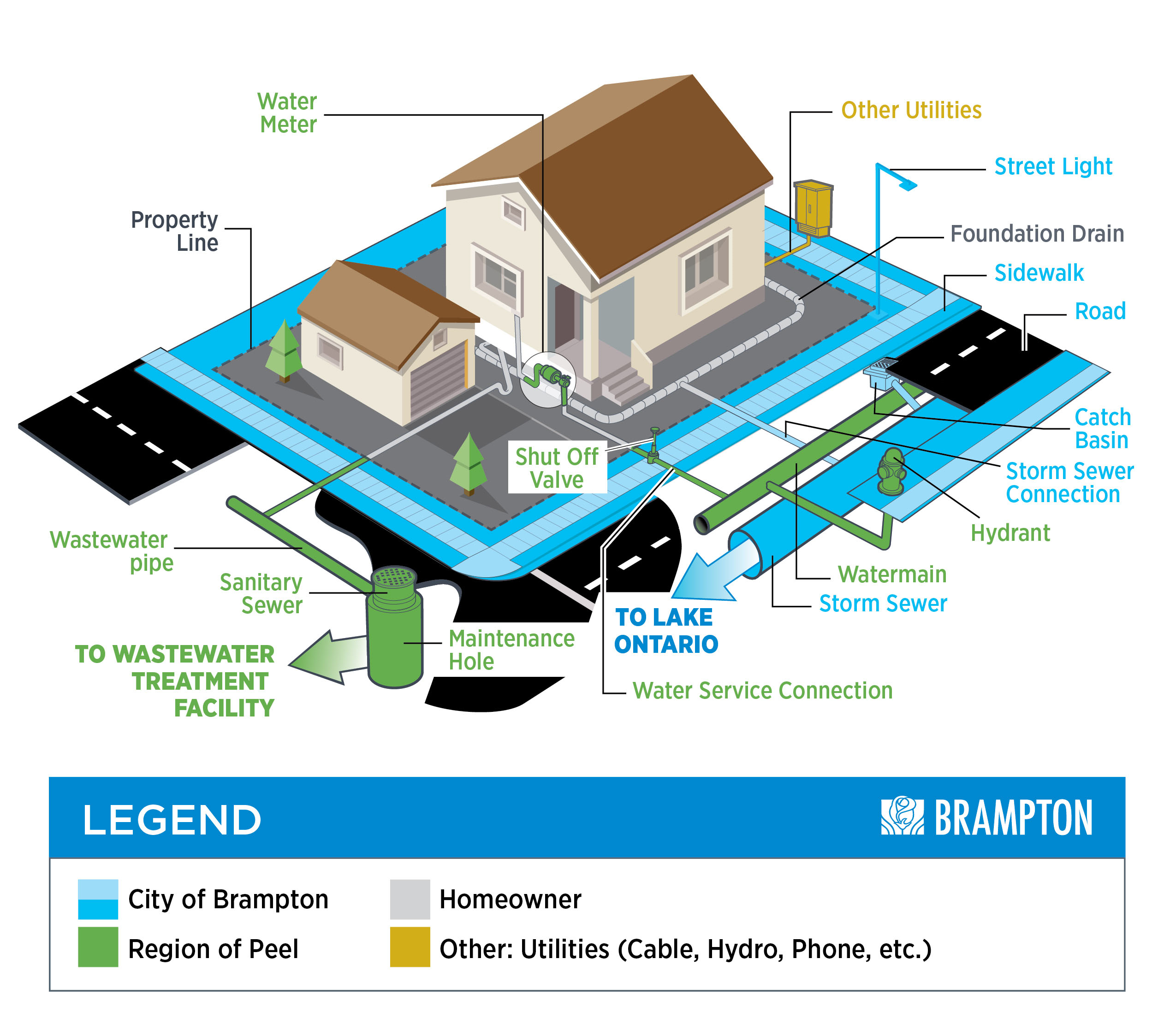 'Who Owns What' labelled diagram with text description below