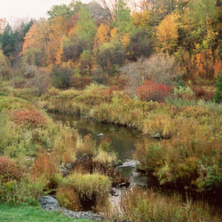 Watercourse Inspections